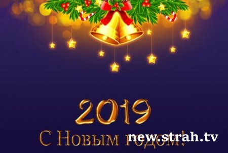 С Новым 2019 годом и Рождеством!